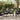 Havebord Sort 140x80x73 cm Tempereret glas