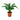 Monstera - Grøn